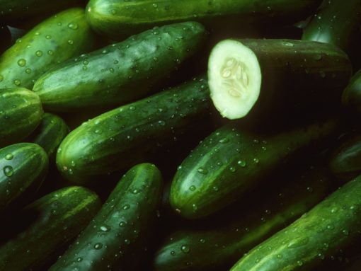 Pile of fresh cucumbers with one cut open