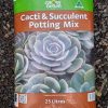 cacti & succulent mix
