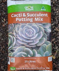 cacti & succulent mix